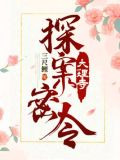 大理寺探案密令