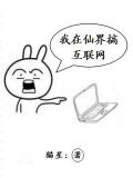 我在仙界搞互联网