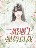 二婚遇上强势总裁