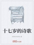 十七岁的诗歌