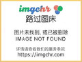 贵妃归来