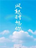 风起时想你