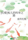 [红楼]板儿的科举之路
