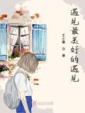 遇见最美好的遇见